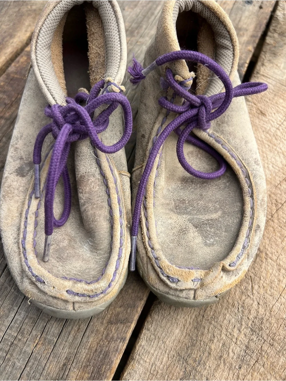 Timberland Taupe Suede Shoes with Purple Laces